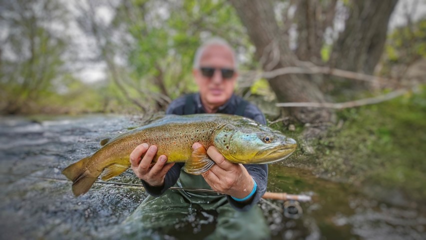 Marble trout Spring.